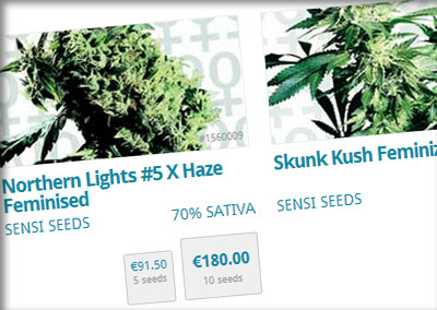 Buy Cannabis Seeds at the sensi seeds webshop